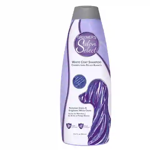 กรูมเมอร์,แชมพู,ขนสีขาว,ขนขาว,แชมพูสุนัข,แชมพูหมา,อาบน้ำ,ทำความสะอาด,shampoo,เห็บ,หมัด,ฟอก,ฟอง,ดับกลิ่น