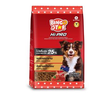 Bingo Hipro สุนัขโต
