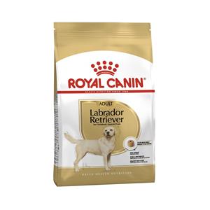 Royal Canin สุนัขโต สูตร Labrador Retriever ลาบาดอร์