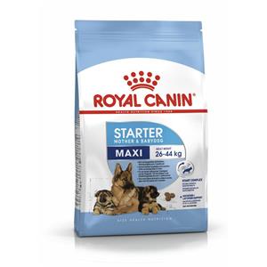 Royal Canin ลูกสุนัข สูตร Maxi Starter เม็ดใหญ่