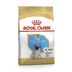 Royal Canin ลูกสุนัข สูตร Pug ปั๊ก