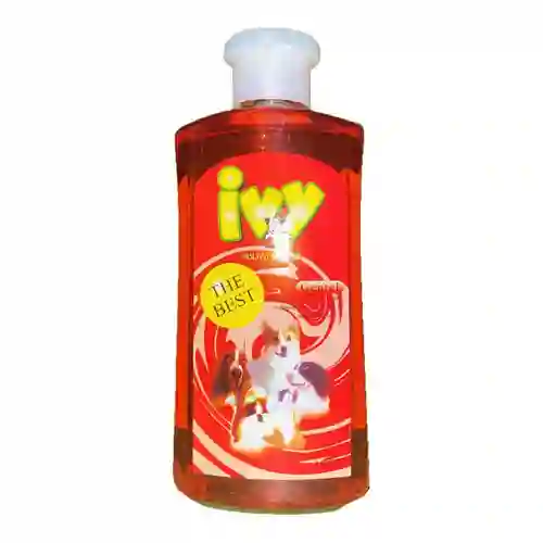 ไอวี่,แชมพูสุนัข,แชมพูสุนัข,แชมพูหมา,อาบน้ำ,ทำความสะอาด,shampoo,เห็บ,หมัด,ฟอก,ฟอง,ดับกลิ่น