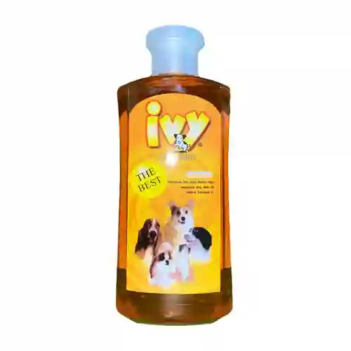ไอวี่,แชมพูสุนัข,แชมพูสุนัข,แชมพูหมา,อาบน้ำ,ทำความสะอาด,shampoo,เห็บ,หมัด,ฟอก,ฟอง,ดับกลิ่น