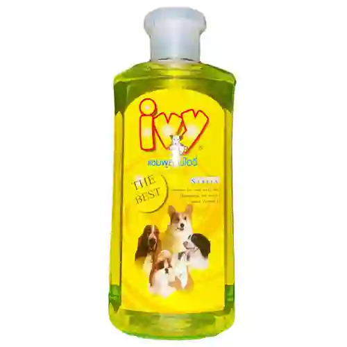 ไอวี่,แชมพูสุนัข,แชมพูสุนัข,แชมพูหมา,อาบน้ำ,ทำความสะอาด,shampoo,เห็บ,หมัด,ฟอก,ฟอง,ดับกลิ่น