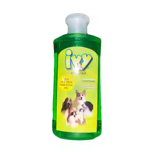 ไอวี่,แชมพูสุนัข,แชมพูสุนัข,แชมพูหมา,อาบน้ำ,ทำความสะอาด,shampoo,เห็บ,หมัด,ฟอก,ฟอง,ดับกลิ่น