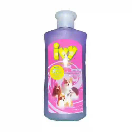 ไอวี่,แชมพูสุนัข,แชมพูสุนัข,แชมพูหมา,อาบน้ำ,ทำความสะอาด,shampoo,เห็บ,หมัด,ฟอก,ฟอง,ดับกลิ่น