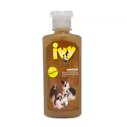 ไอวี่,แชมพูสุนัข,แชมพูสุนัข,แชมพูหมา,อาบน้ำ,ทำความสะอาด,shampoo,เห็บ,หมัด,ฟอก,ฟอง,ดับกลิ่น