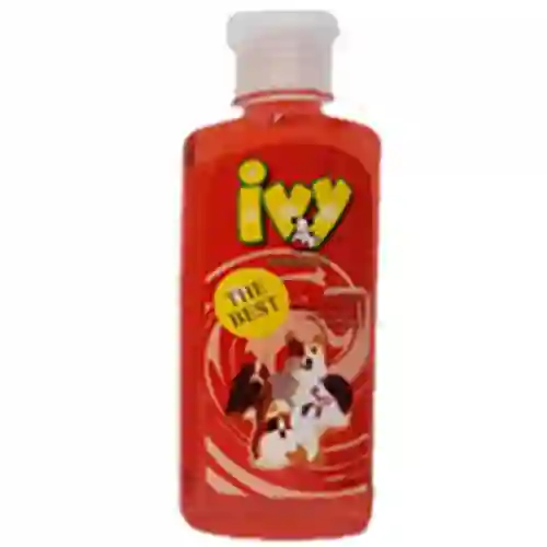 ไอวี่,แชมพูสุนัข,แชมพูสุนัข,แชมพูหมา,อาบน้ำ,ทำความสะอาด,shampoo,เห็บ,หมัด,ฟอก,ฟอง,ดับกลิ่น,conditioner