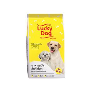 Lucky สุนัขโต