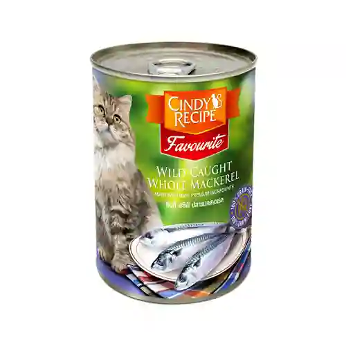 ซินดี้ เรชิพี,กระป๋อง,กระป๋องแมว,กปแมว,กป,อาหารเปียก,can,โต,adult