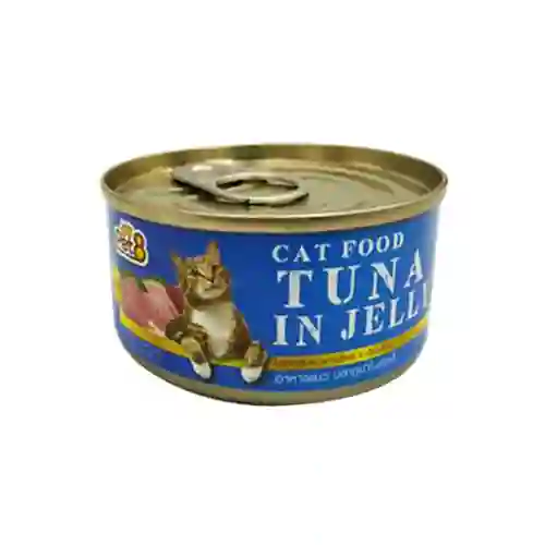 กระป๋อง,กป,อาหารเปียก,can,ถูก,โต,adult,เพ็ท