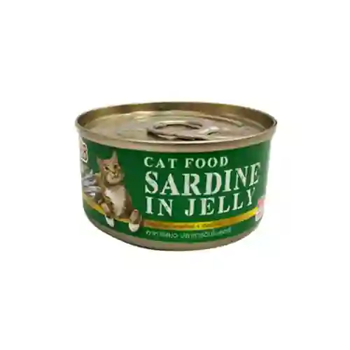 กระป๋อง,กป,อาหารเปียก,can,ถูก,โต,adult,เพ็ท