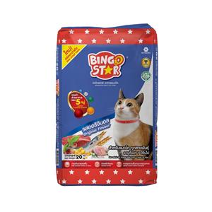 Bingo Star แมวโต