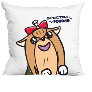 แถมหมอนอิง