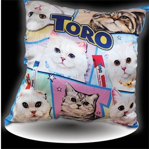 แถมหมอนอิง Toro