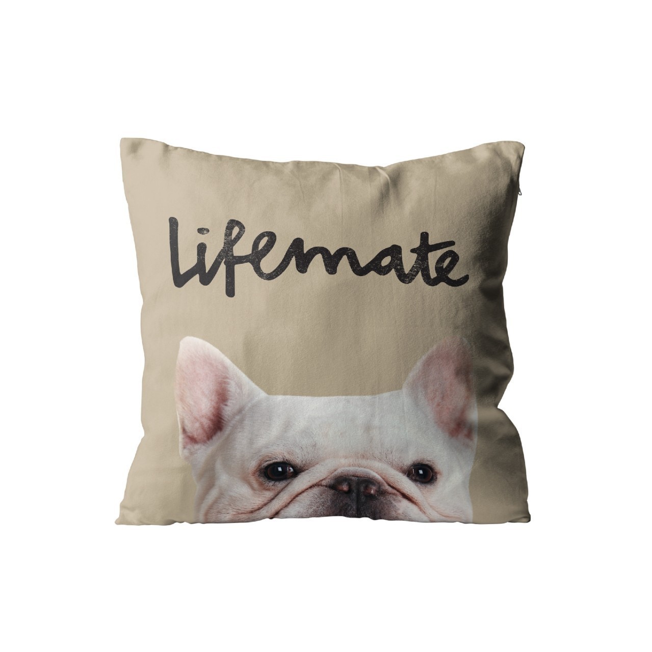 แถมหมอน Lifemate