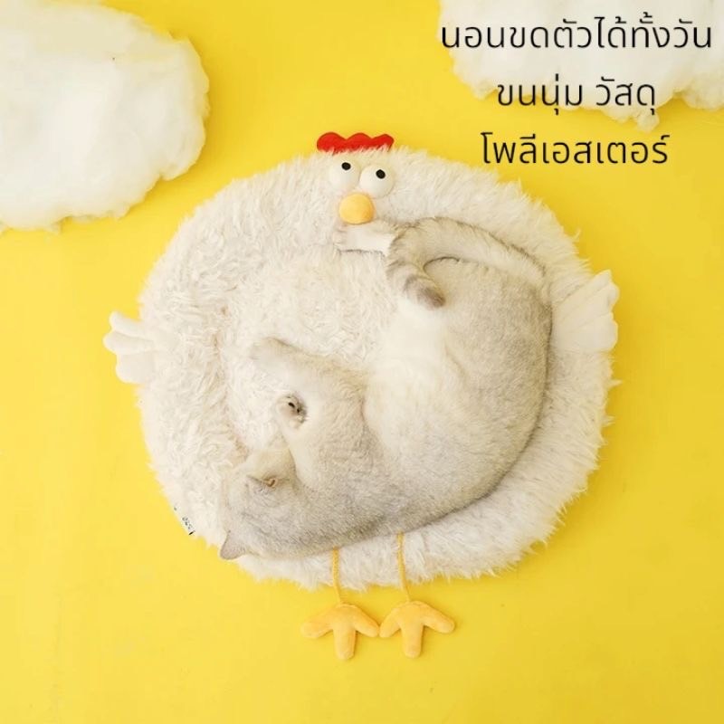 แถมตุ๊กตาแมว