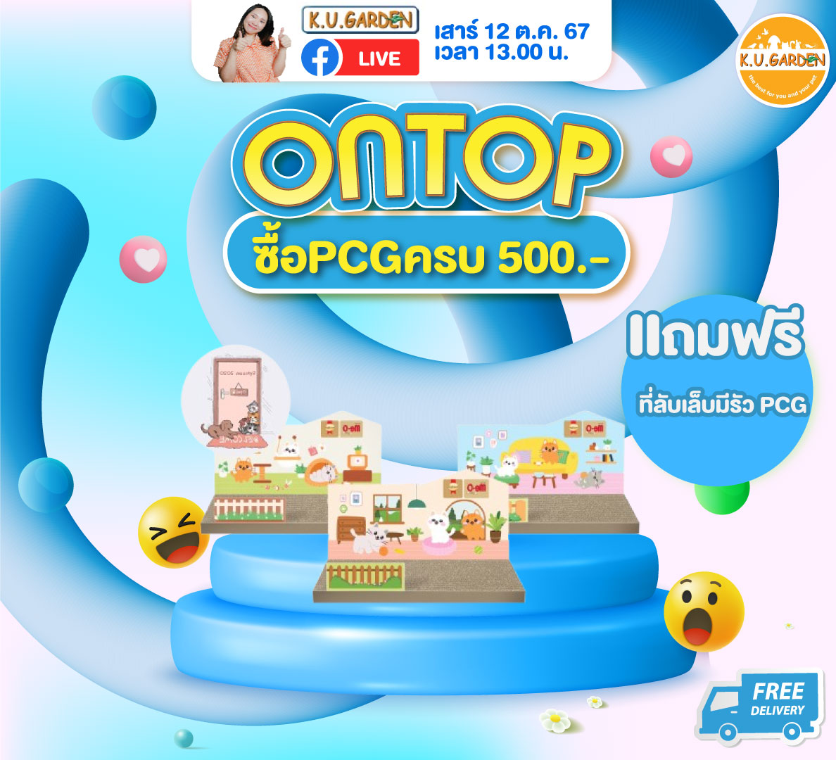 แถมที่นอนโซฟา