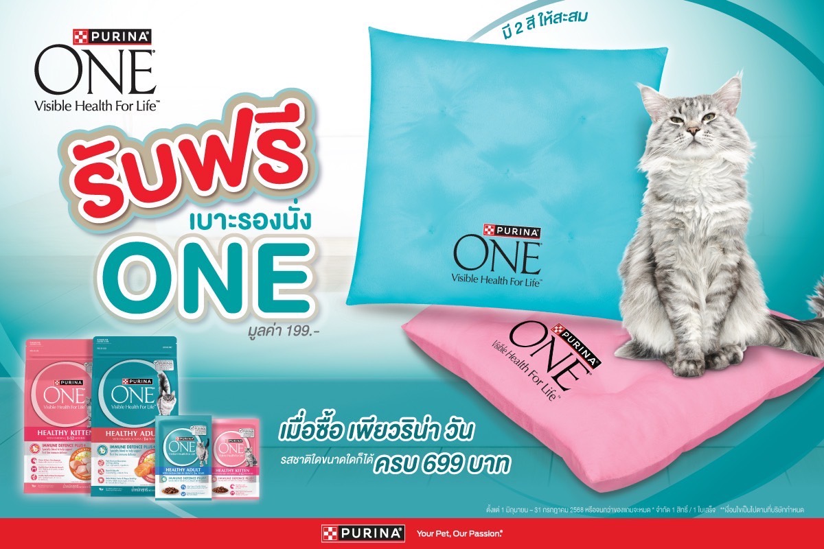 แถมOneเพาซ์ 2ซอง + เบาะหมอนOne