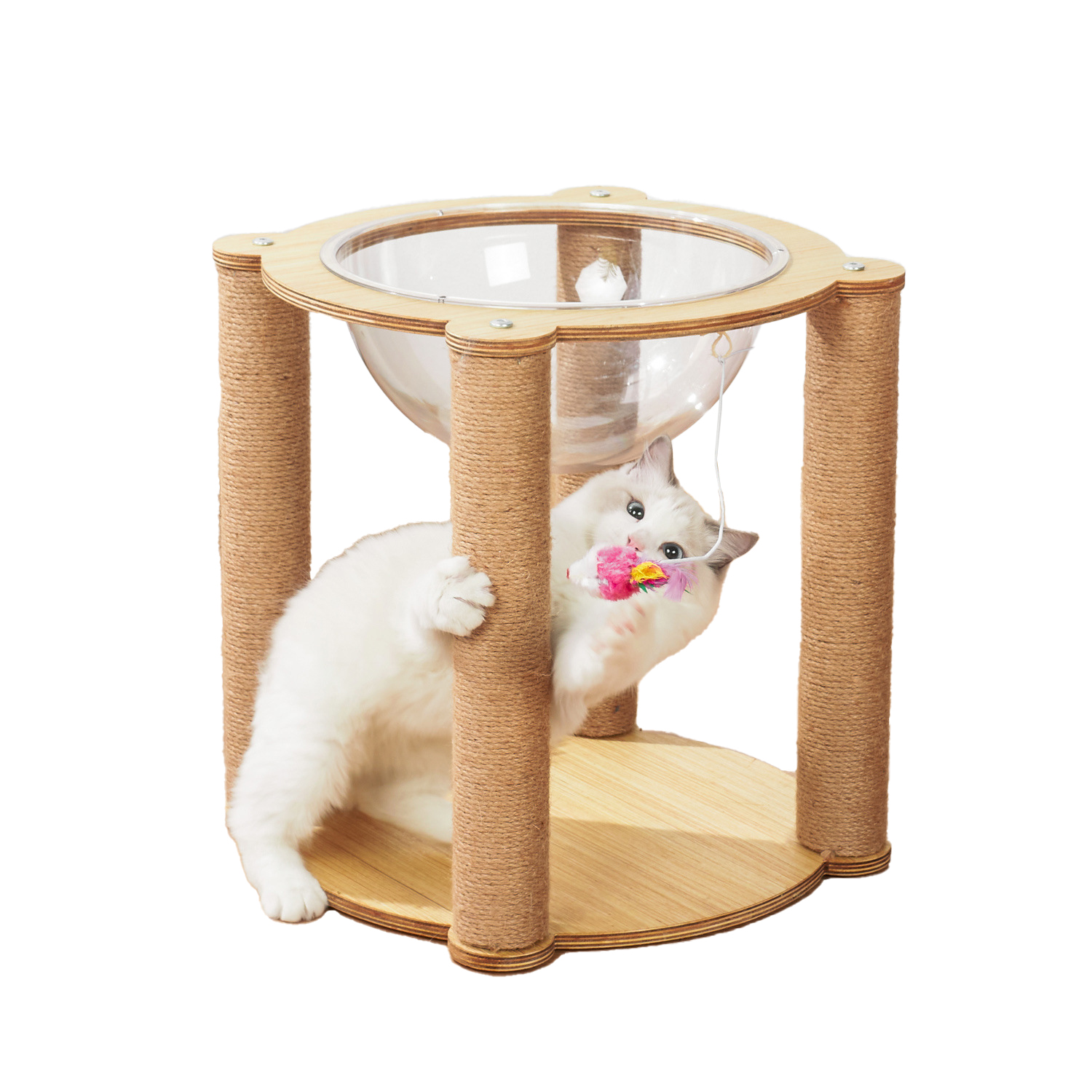 แถม ตะกร้าแมวPet Empire