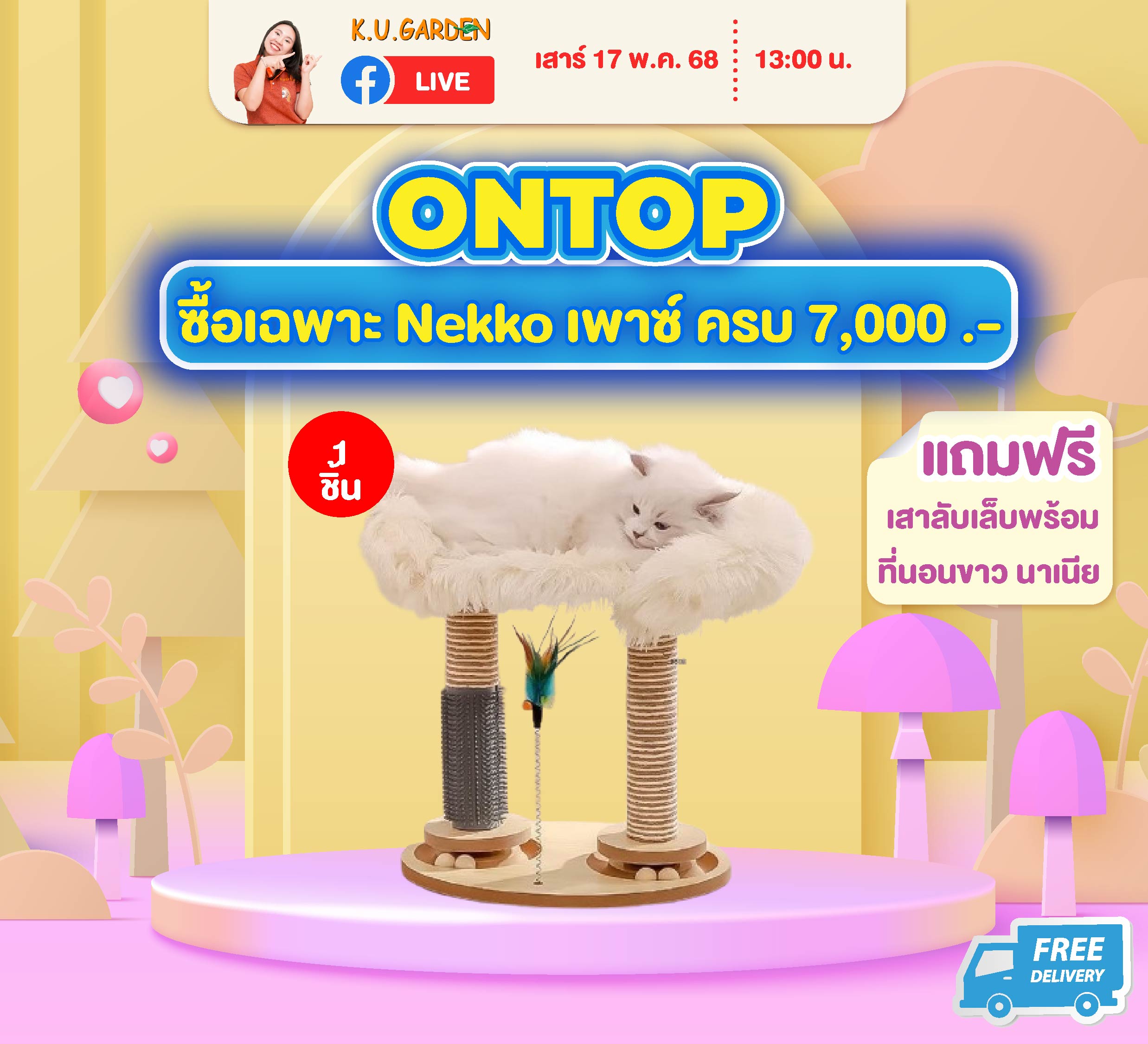 แถมเสาลับเล็บพร้อมที่นอนขาว