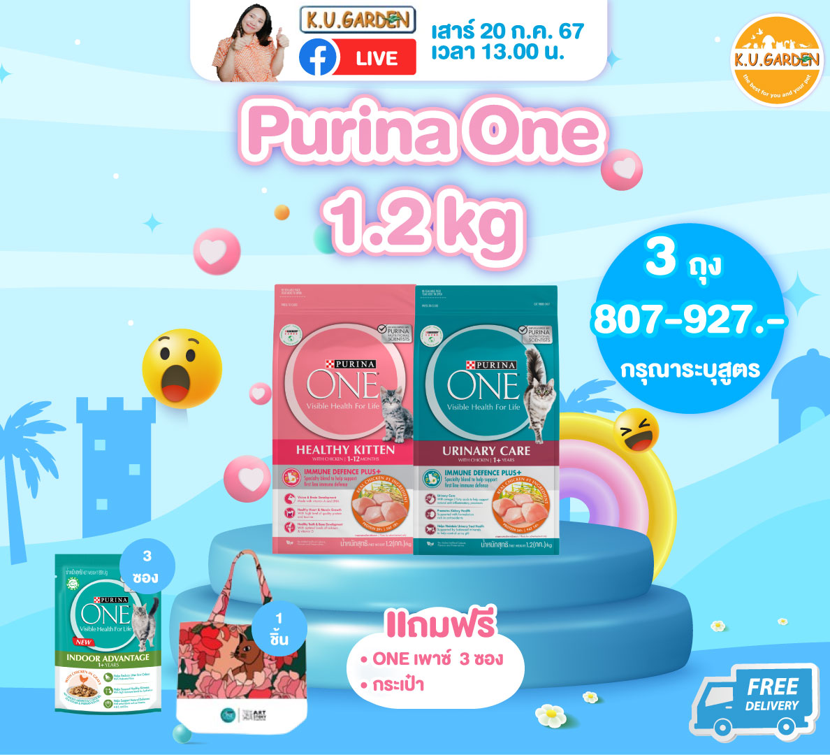 แถม ONE 380g. รสไก่